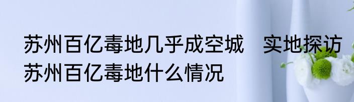 苏州百亿毒地几乎成空城   实地探访苏州百亿毒地什么情况