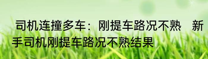  司机连撞多车：刚提车路况不熟   新手司机刚提车路况不熟结果