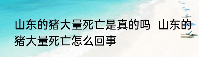 山东的猪大量死亡是真的吗  山东的猪大量死亡怎么回事