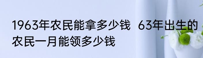 1963年农民能拿多少钱  63年出生的农民一月能领多少钱