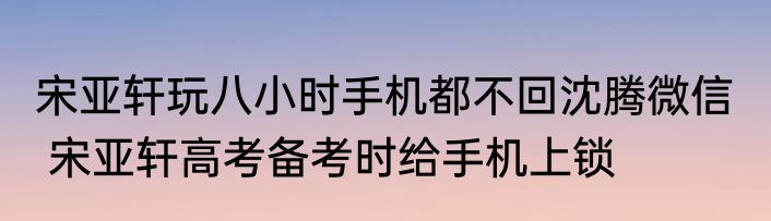 宋亚轩玩八小时手机都不回沈腾微信   宋亚轩高考备考时给手机上锁