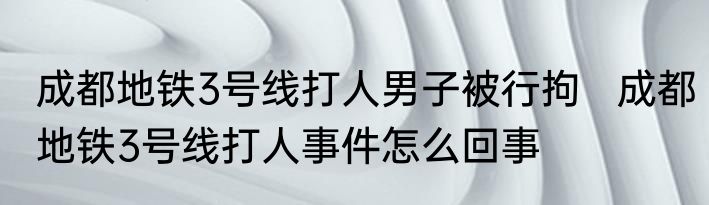 成都地铁3号线打人男子被行拘   成都地铁3号线打人事件怎么回事