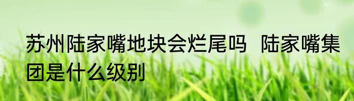 苏州陆家嘴地块会烂尾吗  陆家嘴集团是什么级别