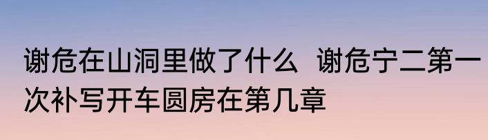谢危在山洞里做了什么  谢危宁二第一次补写开车圆房在第几章