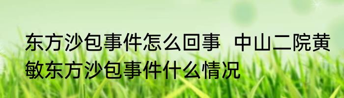 东方沙包事件怎么回事  中山二院黄敏东方沙包事件什么情况