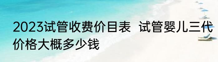 2023试管收费价目表  试管婴儿三代价格大概多少钱