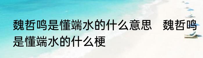 魏哲鸣是懂端水的什么意思   魏哲鸣是懂端水的什么梗 