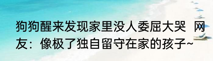 狗狗醒来发现家里没人委屈大哭  网友：像极了独自留守在家的孩子~