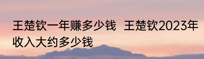 王楚钦一年赚多少钱  王楚钦2023年收入大约多少钱