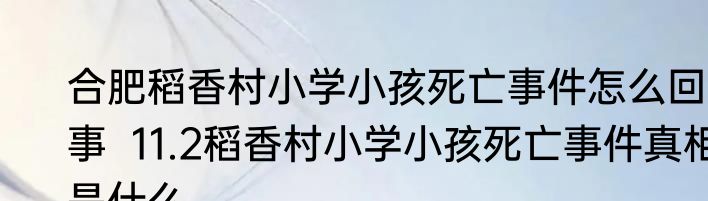 合肥稻香村小学小孩死亡事件怎么回事  11.2稻香村小学小孩死亡事件真相是什么