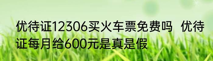 优待证12306买火车票免费吗  优待证每月给600元是真是假 