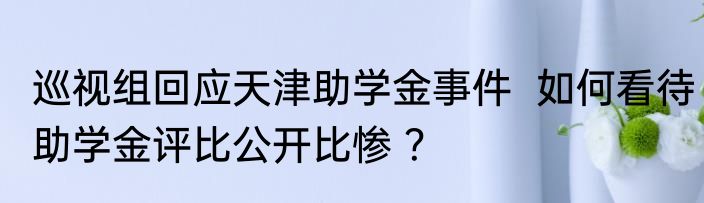 巡视组回应天津助学金事件  如何看待助学金评比公开比惨 ？
