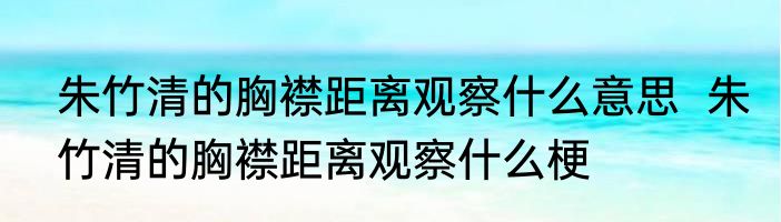 朱竹清的胸襟距离观察什么意思  朱竹清的胸襟距离观察什么梗