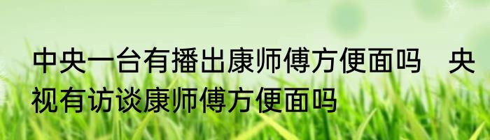 中央一台有播出康师傅方便面吗   央视有访谈康师傅方便面吗
