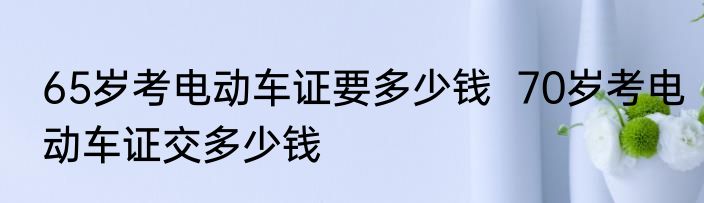 65岁考电动车证要多少钱  70岁考电动车证交多少钱