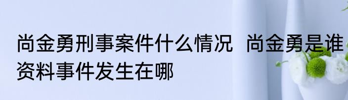 尚金勇刑事案件什么情况  尚金勇是谁资料事件发生在哪