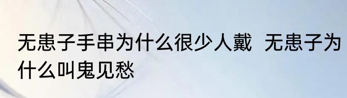 无患子手串为什么很少人戴  无患子为什么叫鬼见愁