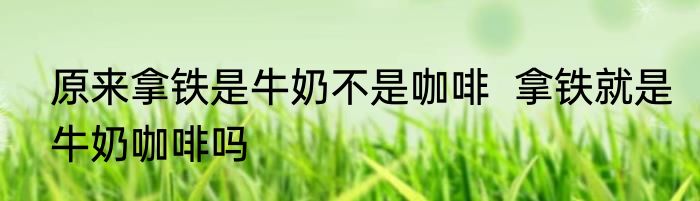 原来拿铁是牛奶不是咖啡  拿铁就是牛奶咖啡吗