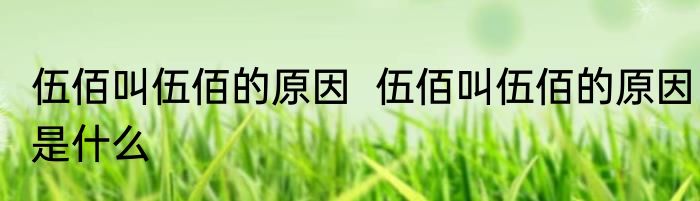 伍佰叫伍佰的原因  伍佰叫伍佰的原因是什么