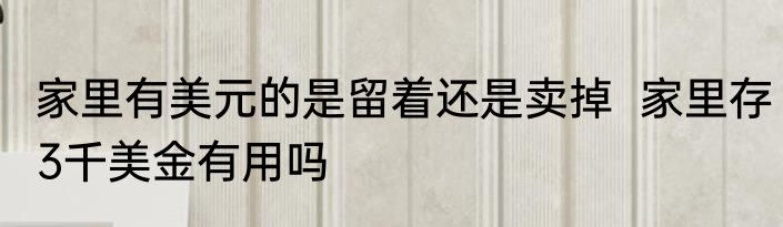 家里有美元的是留着还是卖掉  家里存3千美金有用吗