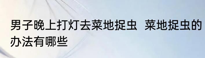 男子晚上打灯去菜地捉虫  菜地捉虫的办法有哪些
