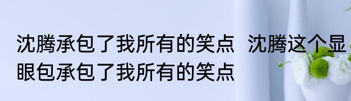 沈腾承包了我所有的笑点  沈腾这个显眼包承包了我所有的笑点