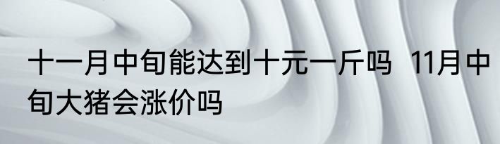 十一月中旬能达到十元一斤吗  11月中旬大猪会涨价吗