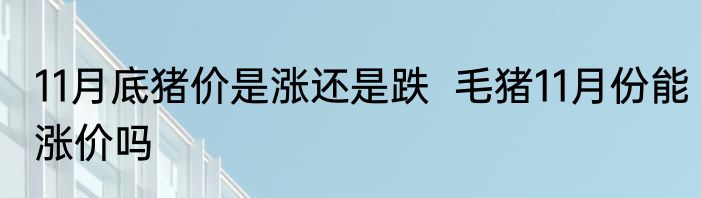 11月底猪价是涨还是跌  毛猪11月份能涨价吗