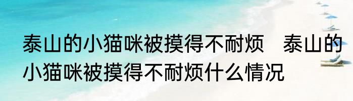 泰山的小猫咪被摸得不耐烦   泰山的小猫咪被摸得不耐烦什么情况