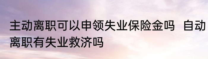 主动离职可以申领失业保险金吗  自动离职有失业救济吗