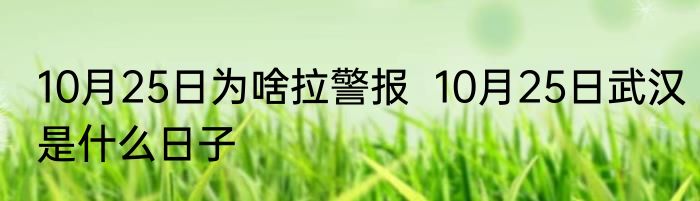 10月25日为啥拉警报  10月25日武汉是什么日子