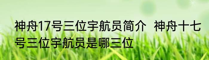 神舟17号三位宇航员简介  神舟十七号三位宇航员是哪三位