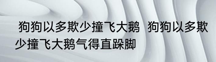  狗狗以多欺少撞飞大鹅  狗狗以多欺少撞飞大鹅气得直跺脚