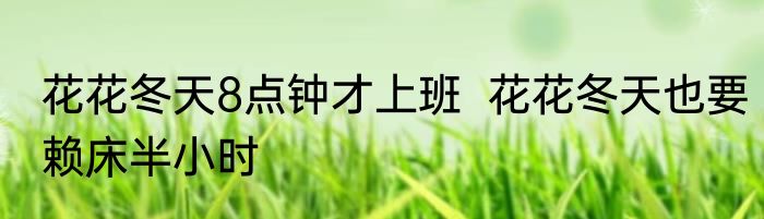 花花冬天8点钟才上班  花花冬天也要赖床半小时