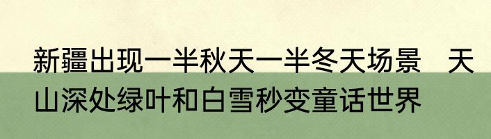新疆出现一半秋天一半冬天场景   天山深处绿叶和白雪秒变童话世界