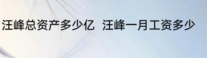 汪峰总资产多少亿  汪峰一月工资多少