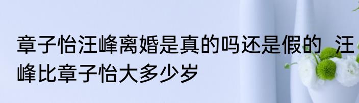 章子怡汪峰离婚是真的吗还是假的  汪峰比章子怡大多少岁