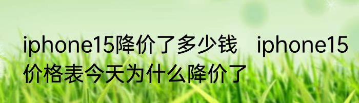 iphone15降价了多少钱   iphone15价格表今天为什么降价了