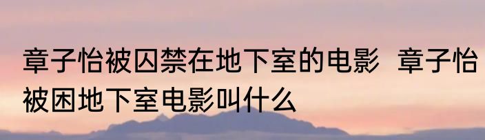 章子怡被囚禁在地下室的电影  章子怡被困地下室电影叫什么