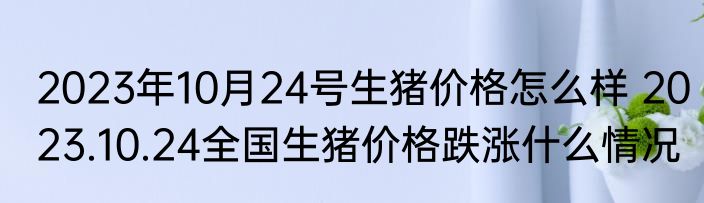 2023年10月24号生猪价格怎么样 2023.10.24全国生猪价格跌涨什么情况