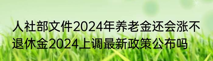人社部文件2024年养老金还会涨不  退休金2024上调最新政策公布吗