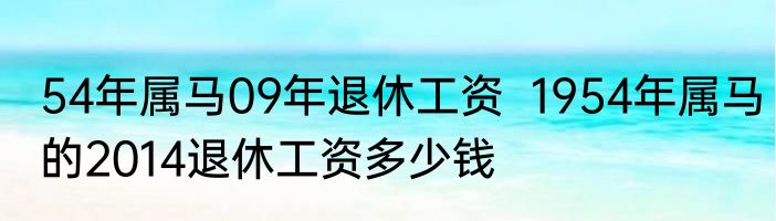 54年属马09年退休工资  1954年属马的2014退休工资多少钱