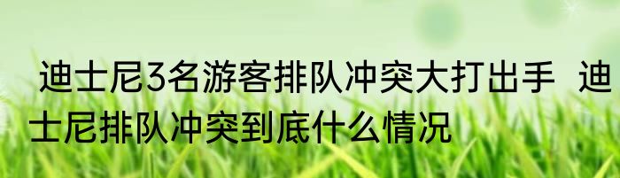  迪士尼3名游客排队冲突大打出手  迪士尼排队冲突到底什么情况