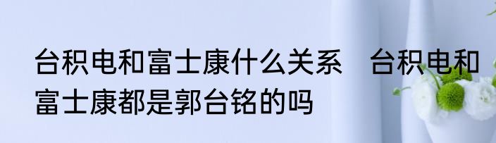 台积电和富士康什么关系   台积电和富士康都是郭台铭的吗