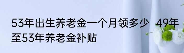 53年出生养老金一个月领多少  49年至53年养老金补贴