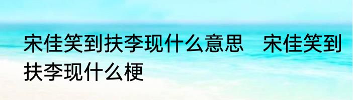 宋佳笑到扶李现什么意思   宋佳笑到扶李现什么梗