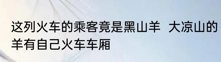 这列火车的乘客竟是黑山羊  大凉山的羊有自己火车车厢