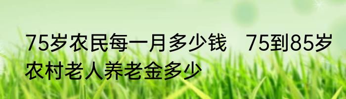 75岁农民每一月多少钱   75到85岁农村老人养老金多少