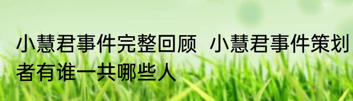 小慧君事件完整回顾  小慧君事件策划者有谁一共哪些人