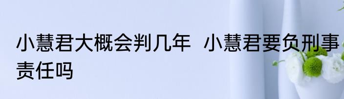 小慧君大概会判几年  小慧君要负刑事责任吗